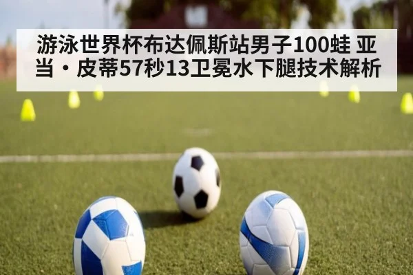游泳世界杯布达佩斯站男子100蛙 亚当·皮蒂57秒13卫冕水下腿技术解析